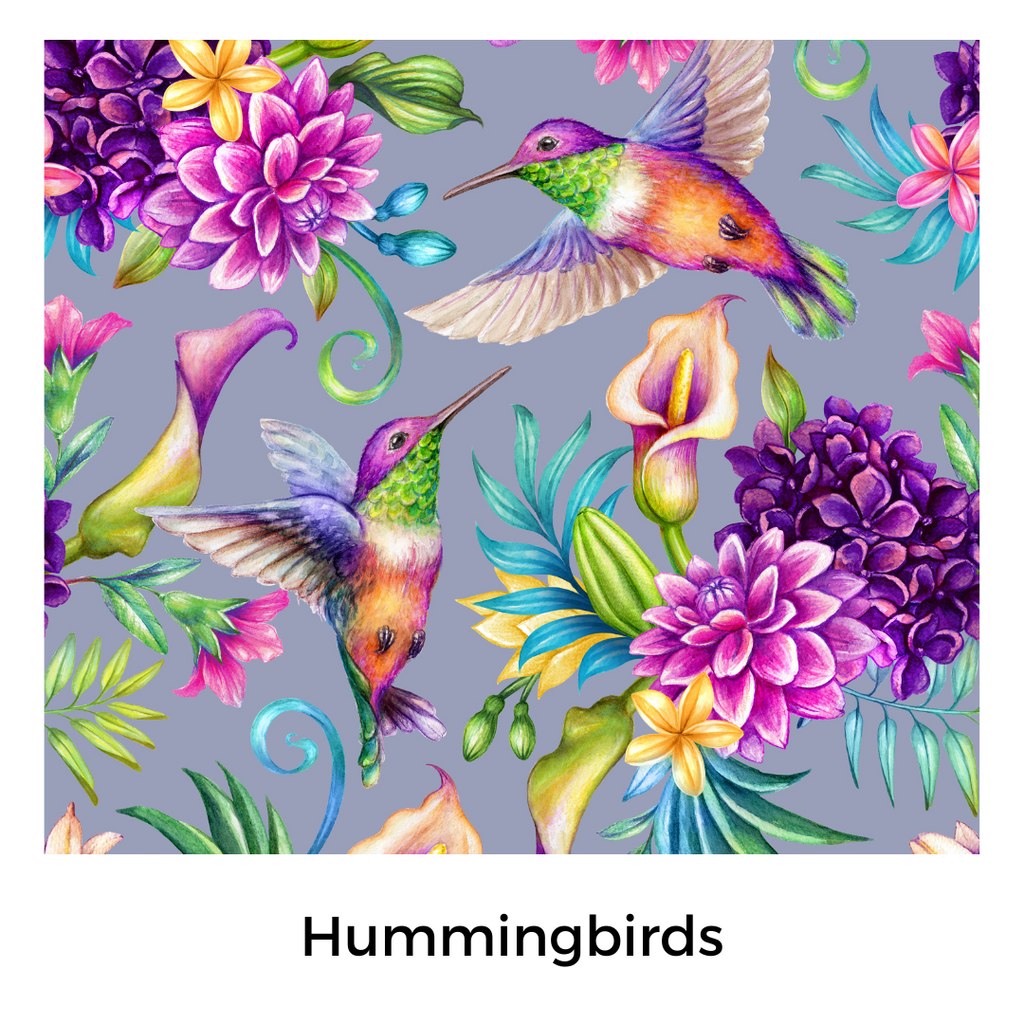 Summer Hummingbirds